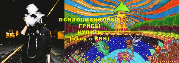 гидропоника Мегион