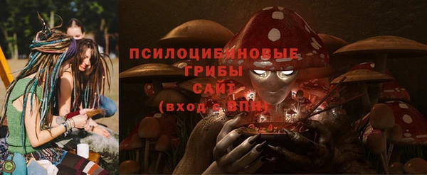 2c-b Михайловск